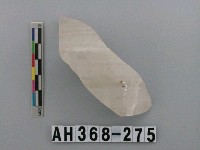 藏品(安平壺腹片)的圖片